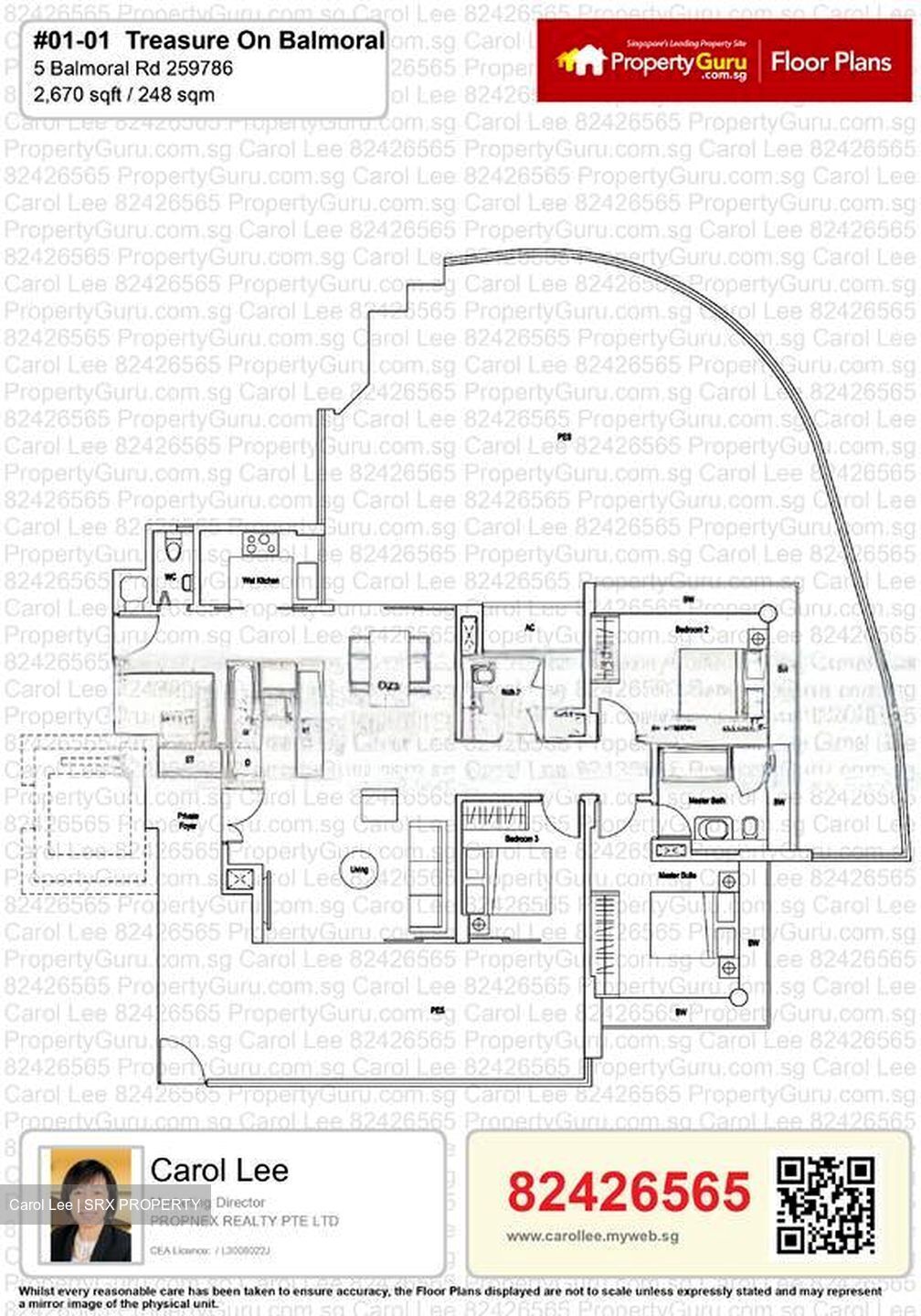 Treasure On Balmoral (D10), Apartment #480029551